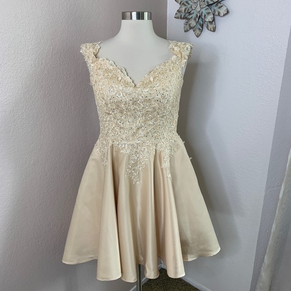 Dancing Queen Lace Crystal Princess Neckline Gown - Picture 1 of 16